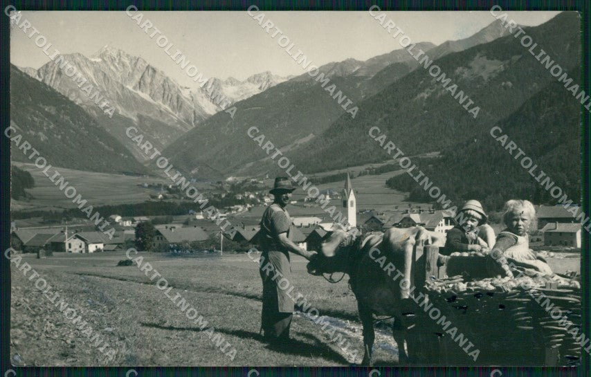 Bolzano Valdaora di Mezzo Val Pusteria Mucche Foto cartolina QZ8340 – fronte