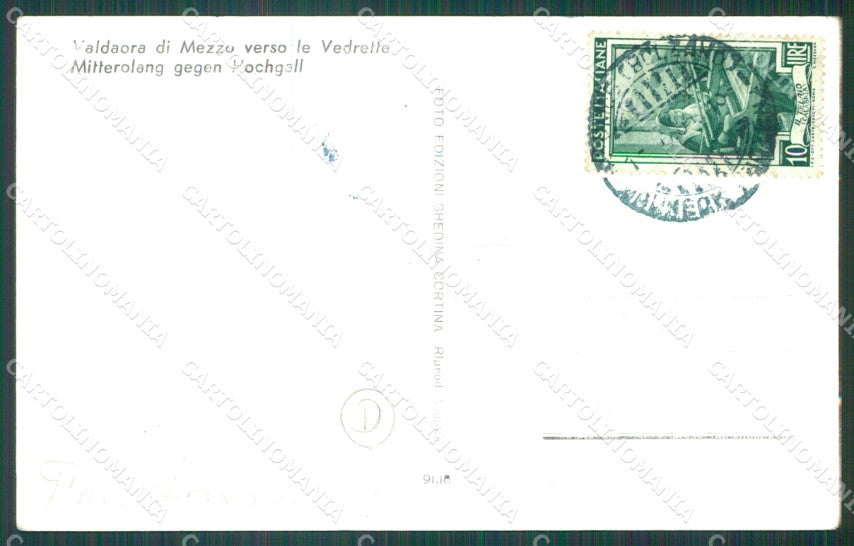 Bolzano Valdaora di Mezzo Val Pusteria Mucche Foto cartolina QZ8340 – retro