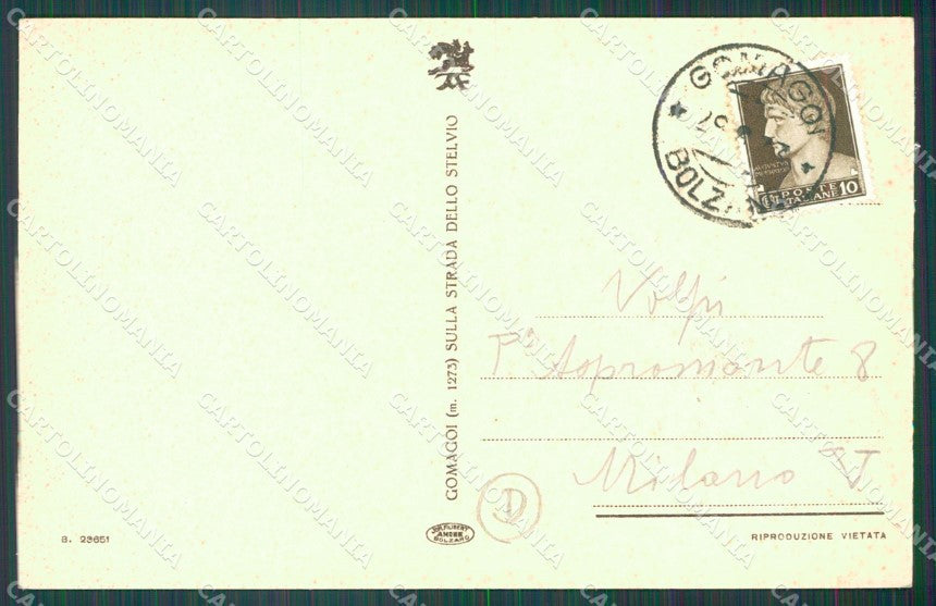 Bolzano Stelvio Gomagoi cartolina QZ8365 – retro