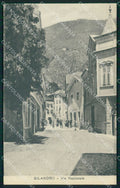 Bolzano Silandro Val Venosta cartolina QZ8376 – fronte