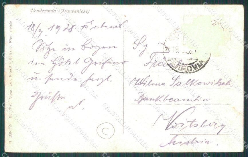 Bolzano Alto Adige Vendemmia Costumi PIEGHE ABRASA cartolina QZ8418 – retro