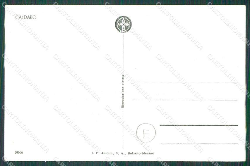 Bolzano Caldaro Foto cartolina QZ8459 – retro