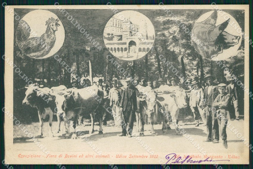 Udine Città Fiera dei Bovini 1902 PIEGHINA cartolina QZ8602 – fronte