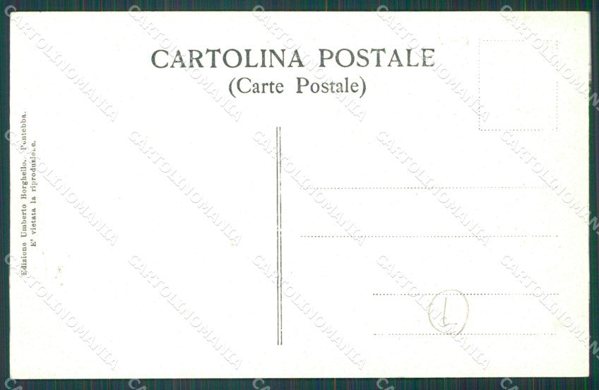 Udine Pontebba cartolina QZ8757 – retro