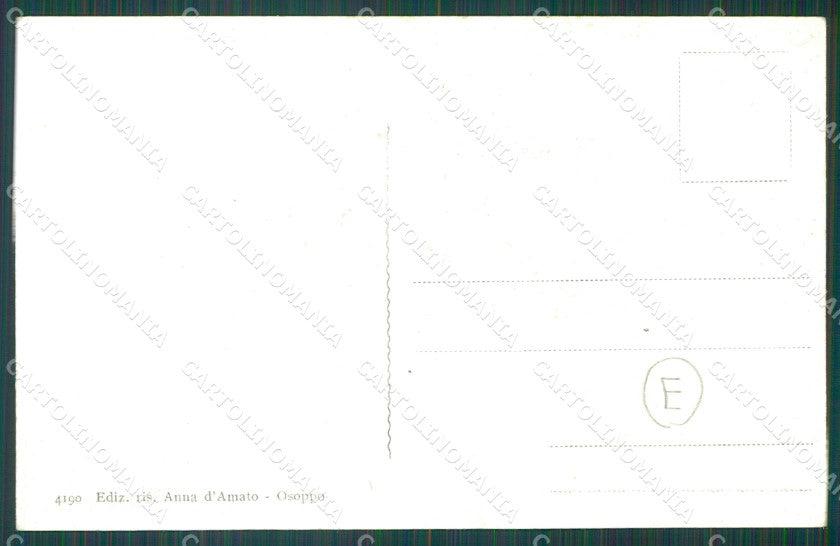 Udine Osoppo cartolina QZ8796 – retro