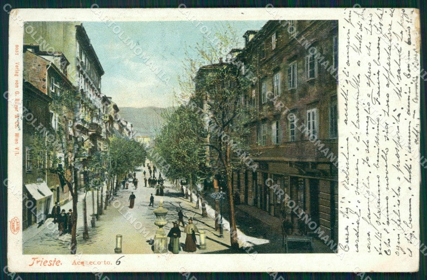 Trieste Città PIEGA cartolina QZ9011 – fronte