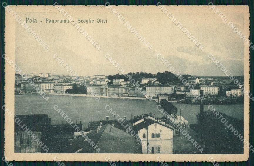 Croazia Pola Scoglio Olivi cartolina QZ9206 – fronte