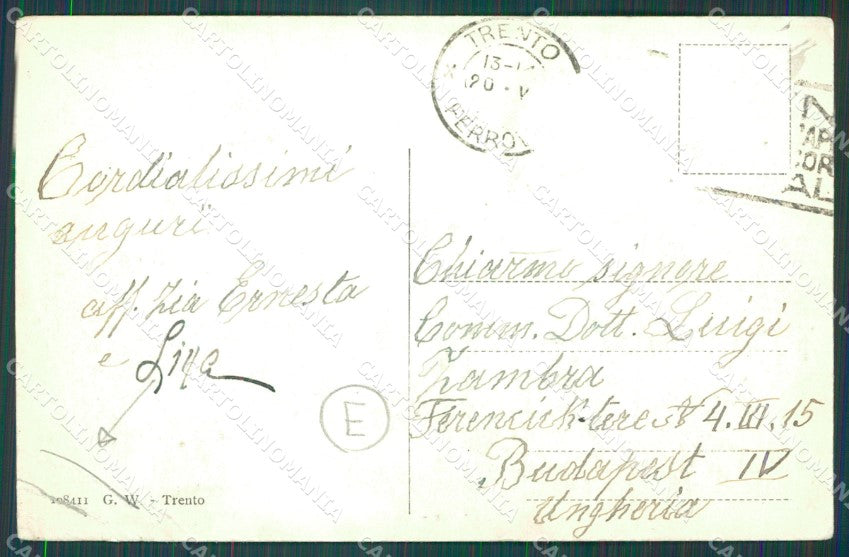Trento Città PIEGHE cartolina QZ9348 – retro