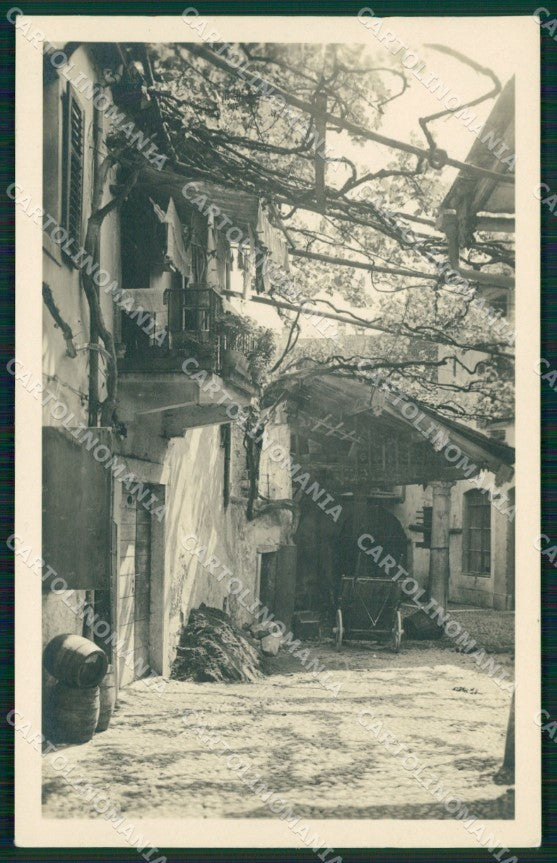 Trento Città Foto cartolina QZ9390 – fronte
