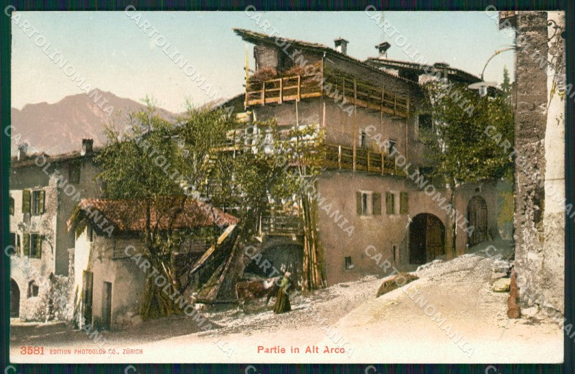 Trento Arco Mucca cartolina QZ9426 – fronte