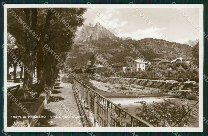 Trento Fiera di Primiero Foto cartolina QZ9440 – fronte