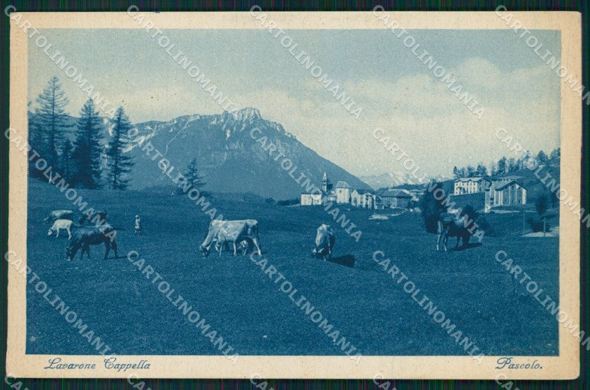 Trento Lavarone Cappella Mucche cartolina QZ9534 – fronte