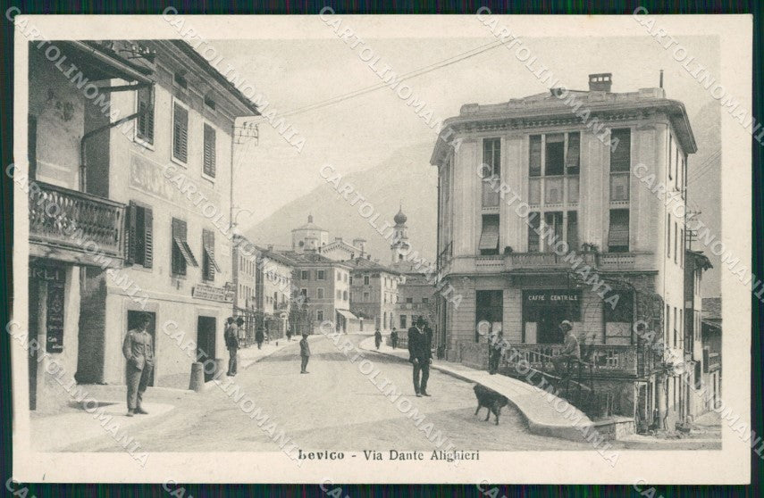 Trento Levico Terme cartolina QZ9577 – fronte