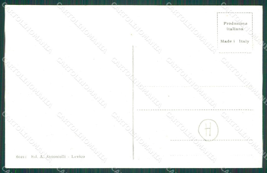 Trento Levico Terme cartolina QZ9577 – retro