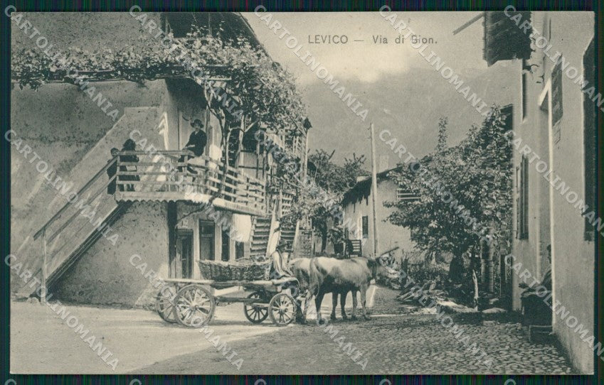 Trento Levico Terme Buoi cartolina QZ9585 – fronte