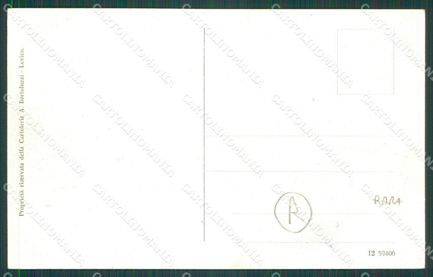 Trento Levico Terme Buoi cartolina QZ9585 – retro