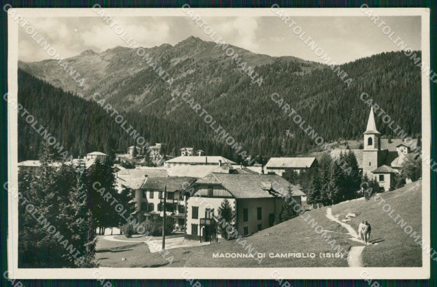 Trento Pinzolo Madonna di Campiglio Foto cartolina QZ9592 – fronte