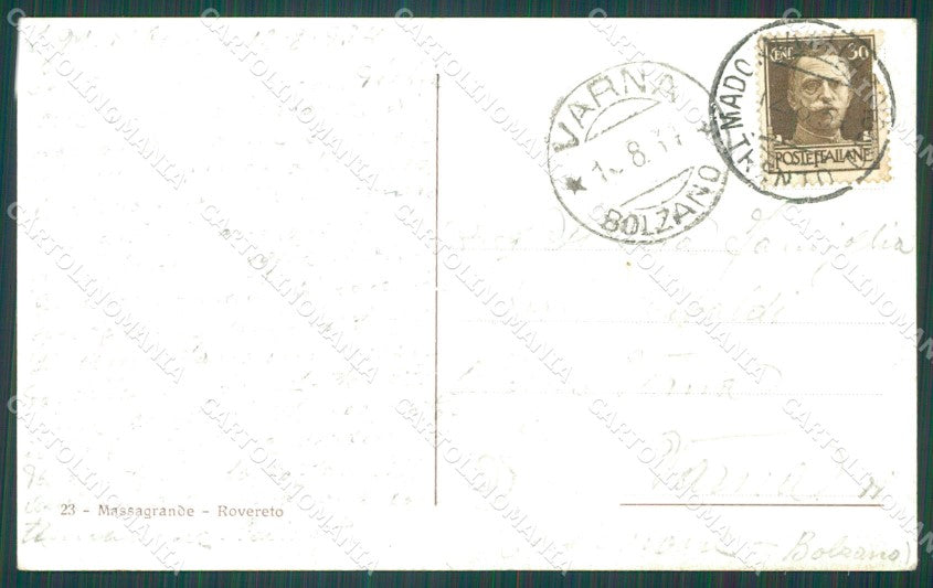 Trento Pinzolo Madonna di Campiglio Riugio Spinale Mucche cartolina QZ9597 – retro