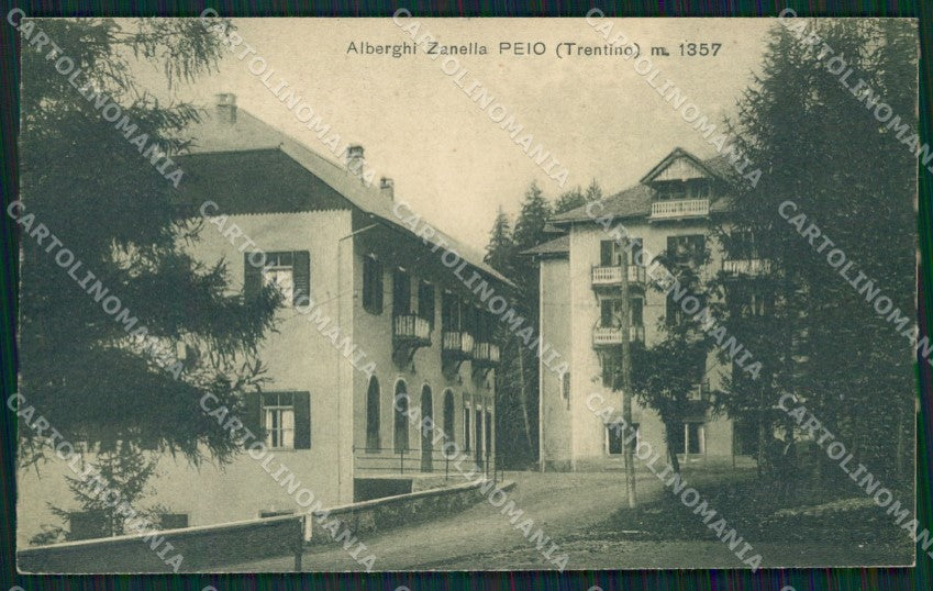 Trento Peio cartolina QZ9625 – fronte