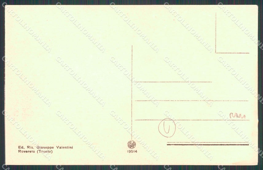 Trento Rovereto Autopostale cartolina QZ9696 – retro