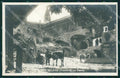 Trento Stenico Sclemo Mucche Foto cartolina QZ9707 – fronte
