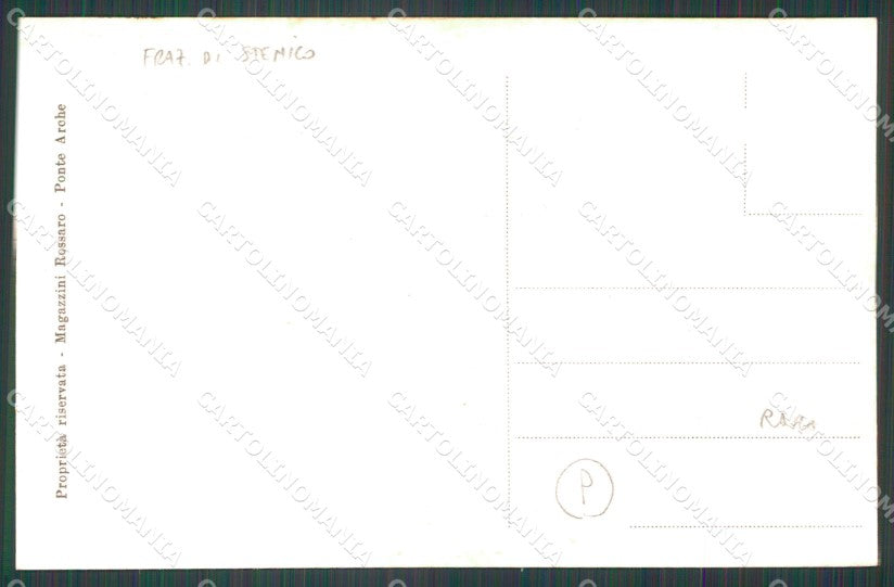 Trento Stenico Sclemo Mucche Foto cartolina QZ9707 – retro
