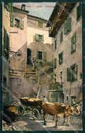 Trento Torbole Lago di Garda Buoi cartolina QZ9725 – fronte