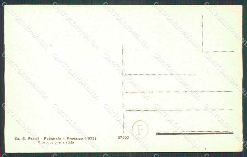 Trento Predazzo Nevicata cartolina QZ9764 – retro