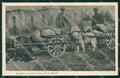 Gorizia Sagrado Monte San Michele Cani da Trasporto WWI cartolina QZ9944 – fronte