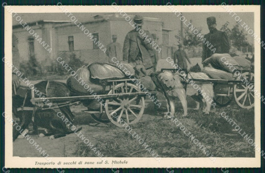 Gorizia Sagrado Monte San Michele Cani da Trasporto WWI cartolina QZ9944 – fronte