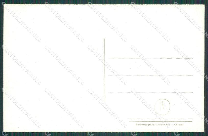 Gorizia Sagrado Monte San Michele Cani da Trasporto WWI cartolina QZ9944 – retro