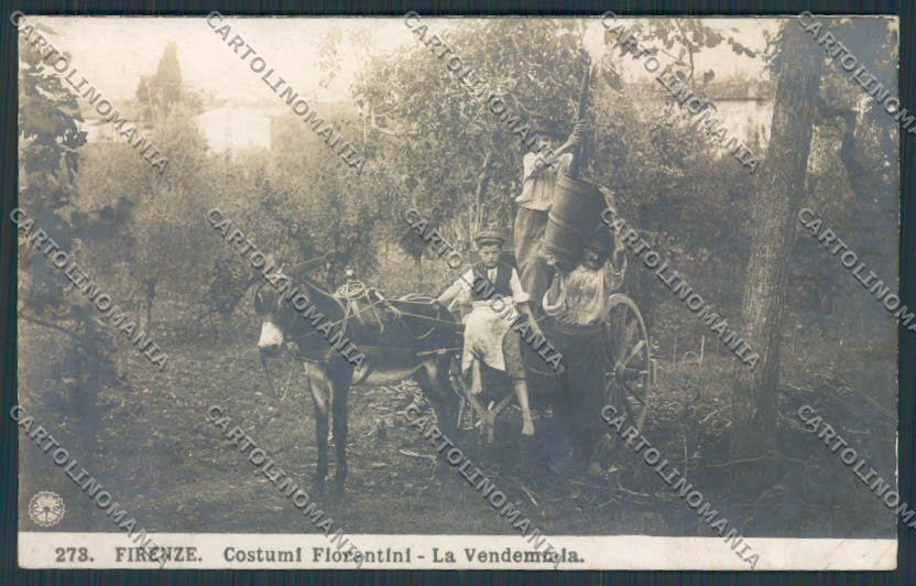 Firenze Costumi Vendemmia NPG foto cartolina RB0505 – fronte
