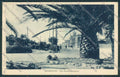 Lucca Viareggio cartolina RB0543 – fronte