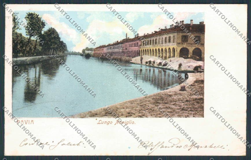 Pavia cartolina RB1455 – fronte
