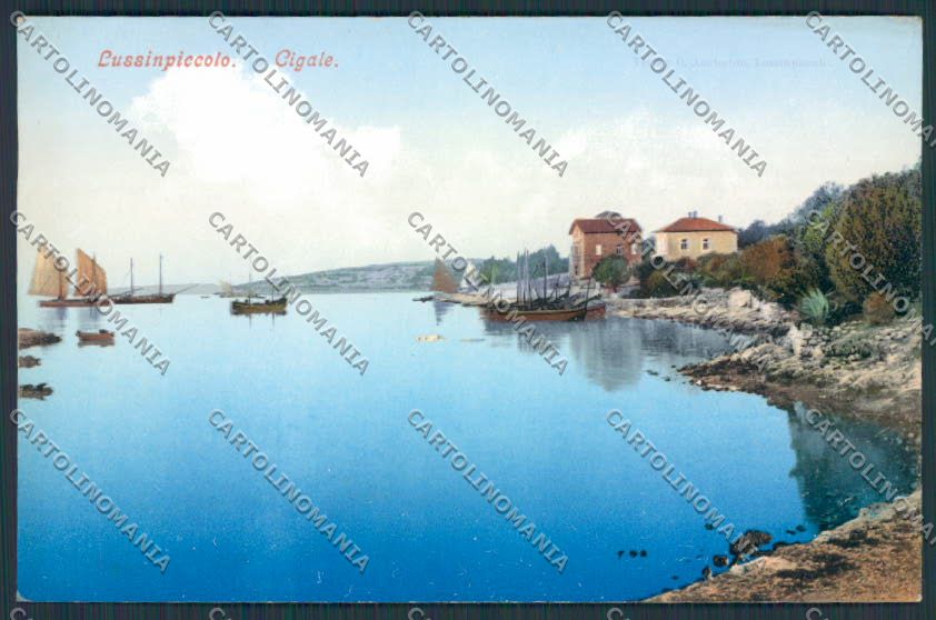 Croazia Croatia Lussinpiccolo Cigale cartolina RB1637 – fronte