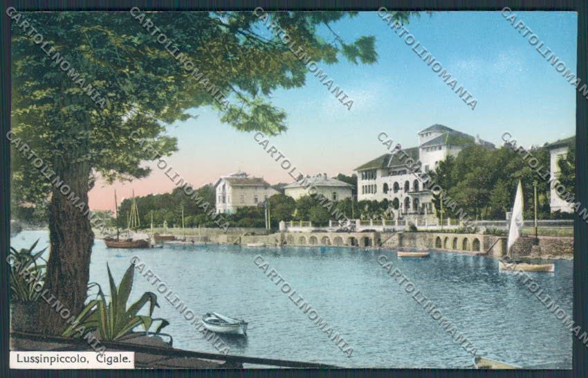 Croazia Croatia Lussinpiccolo Cigale cartolina RB1640 – fronte