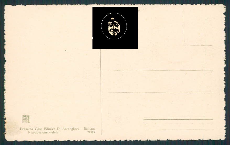 Belluno Gogna di Cadore Auronzo cartolina RB1696 – retro