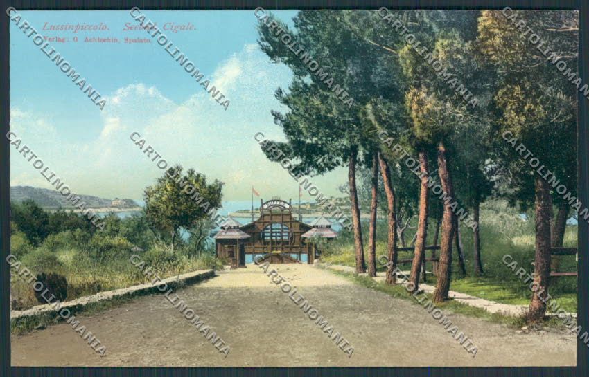 Croazia Croatia Lussinpiccolo Cigale cartolina RB1975 – fronte