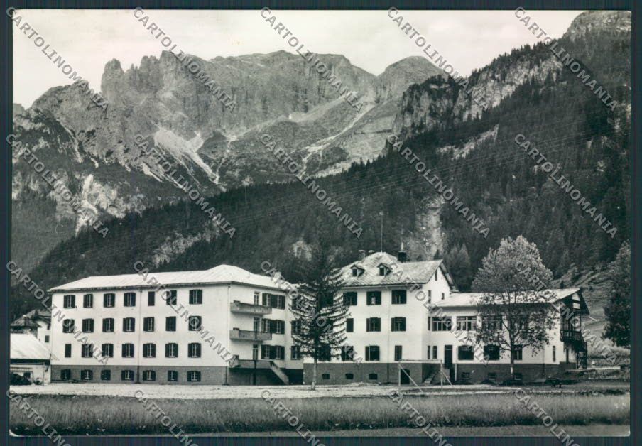 Trento Campestrin di Fassa Foto FG cartolina RB2376 – fronte