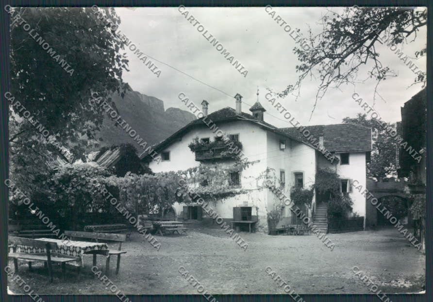 Bolzano Appiano Foto FG cartolina RB2377 – fronte
