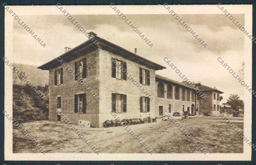 Alessandria Acqui cartolina RB2451 – fronte