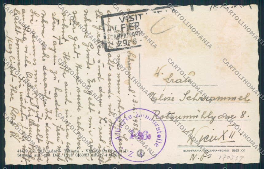 Trieste cartolina RB3104 – retro