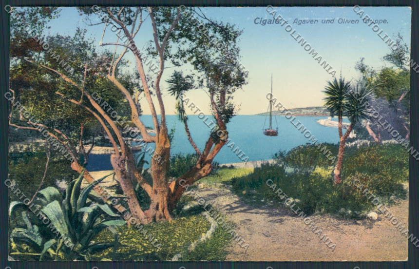 Croatia Croazia Lussinpiccolo Cigale cartolina RB3174 – fronte