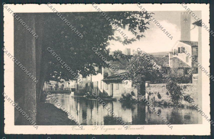 Treviso cartolina RB3459 – fronte
