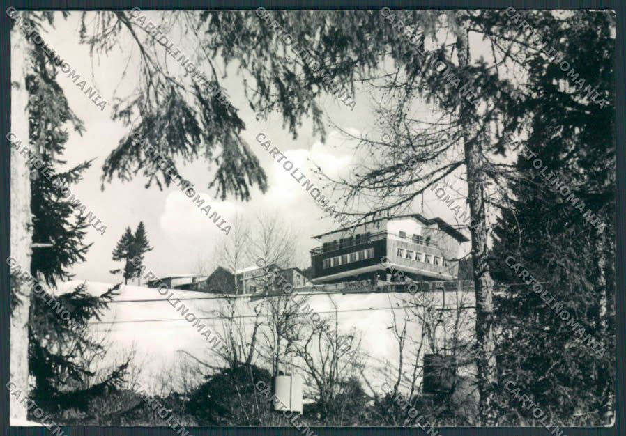 Trento Andalo Foto FG cartolina RB3584 – fronte