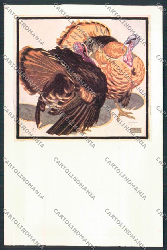 Art Deco Bresslern Tacchino postcard cartolina RB4383 – fronte