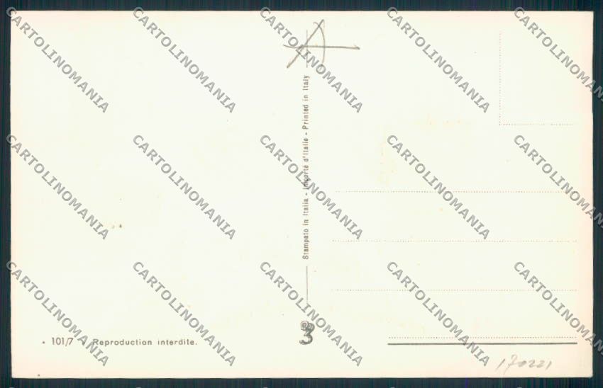 Setter dog Caccia Norfini postcard cartolina RB4387 – retro