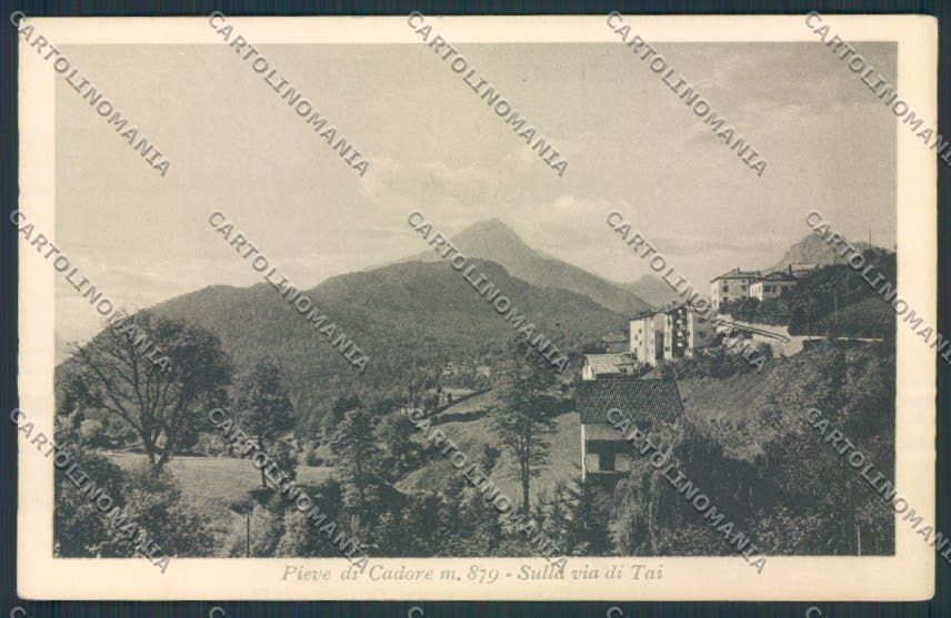 Belluno Pieve di Cadore cartolina RB4463 – fronte