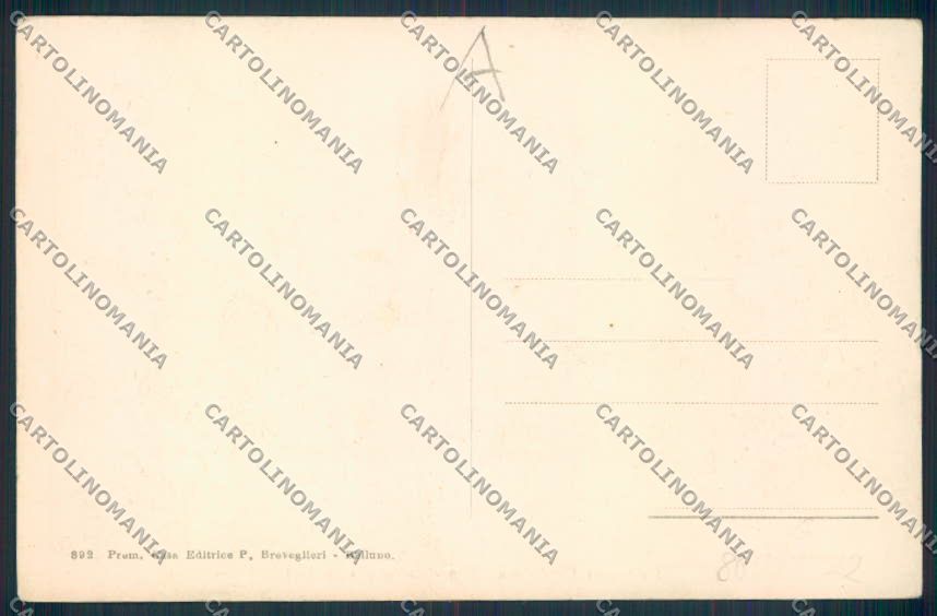 Belluno Pieve di Cadore cartolina RB4463 – retro