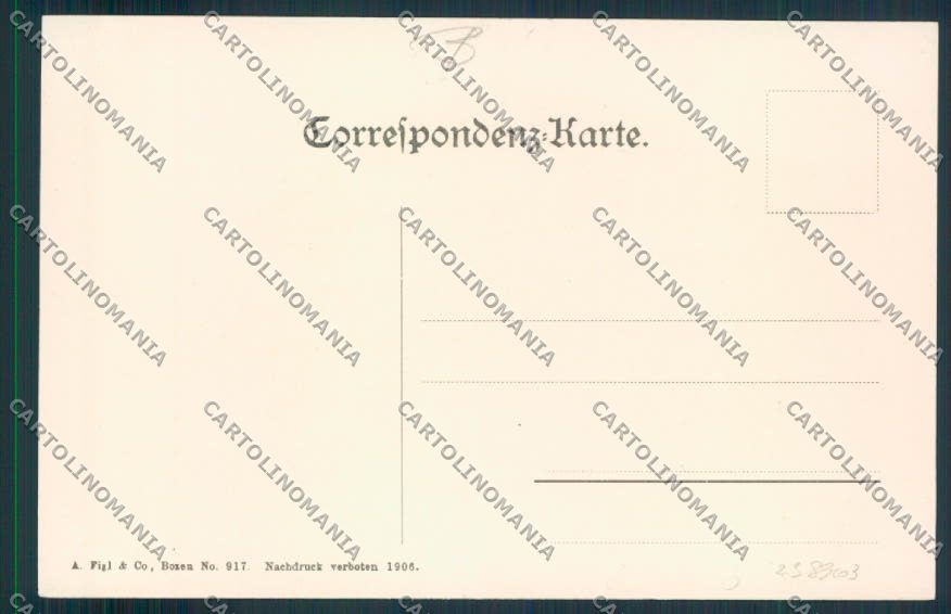 Belluno Cadore Tizians Geburtshaus cartolina RB4547 – retro